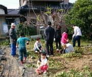 事務所の孫達と芋掘り大会 2014